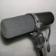 Shure SM7