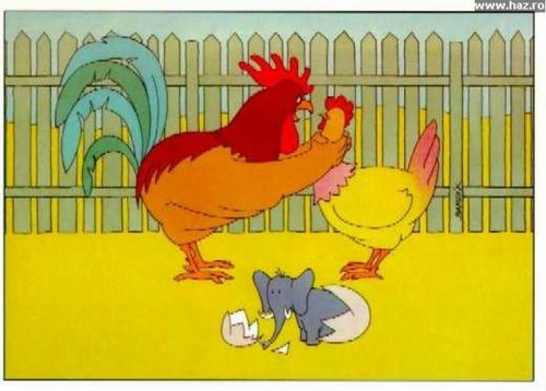 Ludkovický Slůněvrať